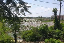 Tanah untuk Dijual di Lamongan Lamongan Luas 50000m2 Tanah untuk Dijual di Lamongan Lamongan Luas 50000m2