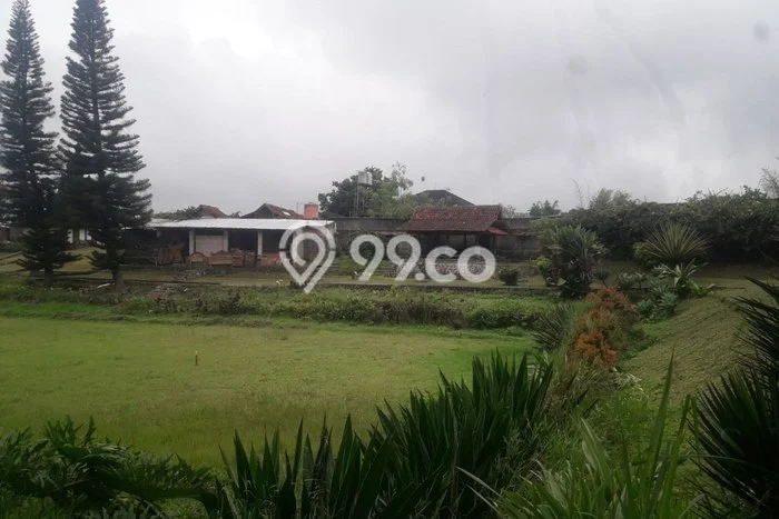 Kavling Tanah Dijual di Lembang Bandung Barat Spesifikasi 3497m2 Kavling Tanah Dijual di Lembang Bandung Barat Spesifikasi 3497m2
