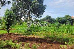 Kavling Tanah untuk Dijual di Bintaro, Tangerang Selatan, Luas 16000m2 Kavling Tanah untuk Dijual di Bintaro, Tangerang Selatan, Luas 16000m2