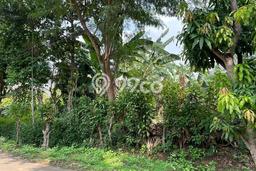 LOKASI STRATEGIS! Tanah Kawasan Cinere, Luas 600m2m², Lingkungan Nyaman, Cocok untuk Investasi LOKASI STRATEGIS! Tanah Kawasan Cinere, Luas 600m2m², Lingkungan Nyaman, Cocok untuk Investasi