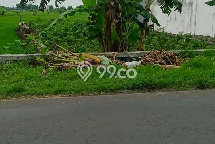 Lahan Kosong Dijual di Gresik dengan Area 347m2 Lahan Kosong Dijual di Gresik dengan Area 347m2
