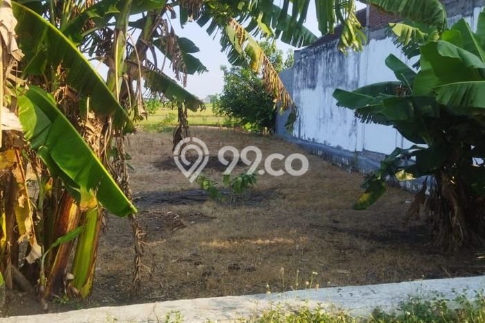 Lahan Kosong Dijual di Gresik dengan Area 347m2 Lahan Kosong Dijual di Gresik dengan Area 347m2