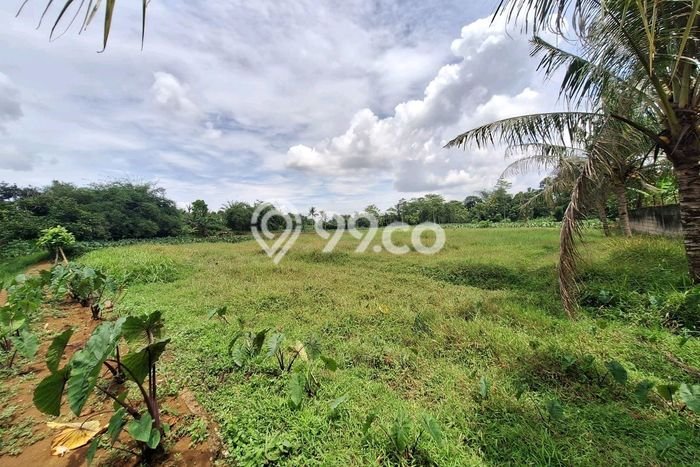 Tanah di Ranca Bungur, Luas 32000m², Jalur Mudah Tanah di Ranca Bungur, Luas 32000m², Jalur Mudah