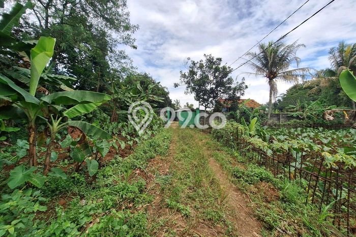Tanah di Ranca Bungur, Luas 32000m², Jalur Mudah Tanah di Ranca Bungur, Luas 32000m², Jalur Mudah