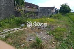 Tanah Kavling untuk Dijual di Cangkringan Sleman 529m2 Tanah Kavling untuk Dijual di Cangkringan Sleman 529m2