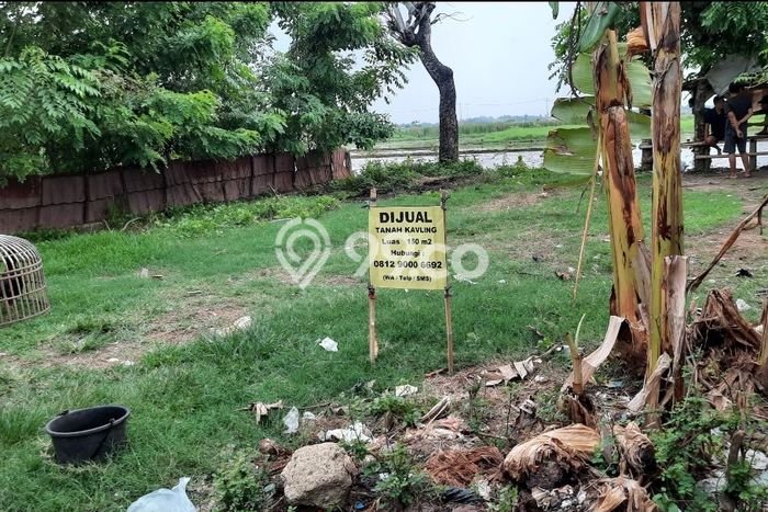 Kavling Tanah Dijual di Mauk Tangerang Spesifikasi 150m2 Kavling Tanah Dijual di Mauk Tangerang Spesifikasi 150m2