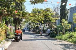 Kavling Tanah Dijual di Sukajadi, Bandung, Luas 227m2 Area Strategis Kavling Tanah Dijual di Sukajadi, Bandung, Luas 227m2 Area Strategis