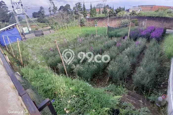 Tanah Dijual Lokasi Lembang Bandung Barat SHM Tanah Dijual Lokasi Lembang Bandung Barat SHM