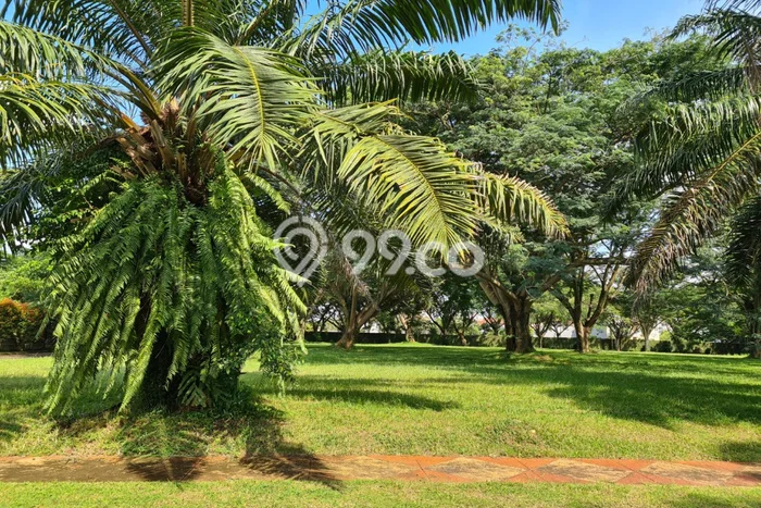 Dijual Tanah Lokasi Alam Sutera, Tangerang Seluas 1100m2 Dijual Tanah Lokasi Alam Sutera, Tangerang Seluas 1100m2