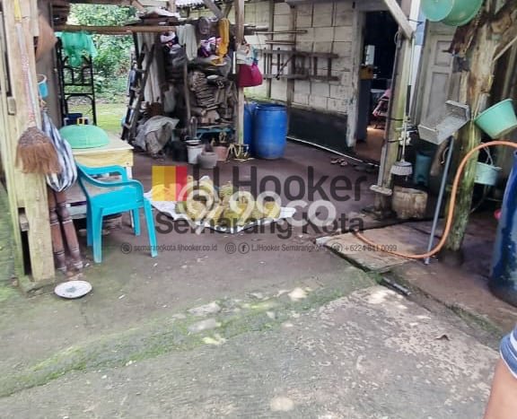 Kavling Tanah Dijual di Limbangan Kendal Spesifikasi 1300m2 Kavling Tanah Dijual di Limbangan Kendal Spesifikasi 1300m2