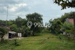 Kavling Tanah Dijual di Bancar Tuban Spesifikasi 10054m2 Kavling Tanah Dijual di Bancar Tuban Spesifikasi 10054m2