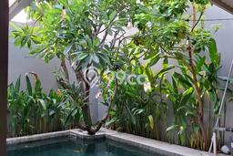 Rumah Elit Modern Tanpa Renovasi di Citraland Surabaya Rumah Elit Modern Tanpa Renovasi di Citraland Surabaya
