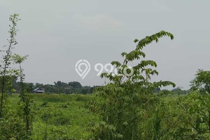 Tanah Kosong Dijual di Pasuruan dengan Area 3655m2 Tanah Kosong Dijual di Pasuruan dengan Area 3655m2