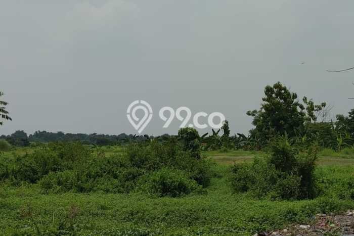 Tanah Kosong Dijual di Pasuruan dengan Area 3655m2 Tanah Kosong Dijual di Pasuruan dengan Area 3655m2