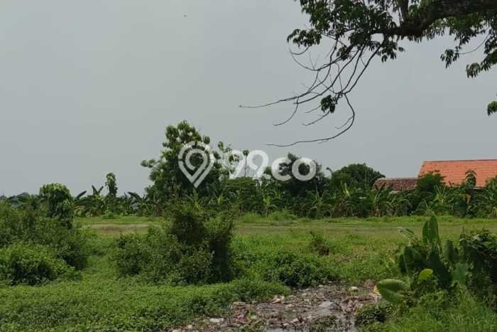 Tanah Kosong Dijual di Pasuruan dengan Area 3655m2 Tanah Kosong Dijual di Pasuruan dengan Area 3655m2