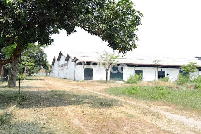 Pabrik Bagus LT 49519m2 LB 11300m2 Dijual di Krian Sidoarjo Pabrik Bagus LT 49519m2 LB 11300m2 Dijual di Krian Sidoarjo