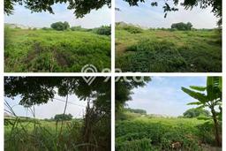 Tanah untuk Dijual Lokasi Buduran, Sidoarjo Luas 11000m2 SHM Tanah untuk Dijual Lokasi Buduran, Sidoarjo Luas 11000m2 SHM