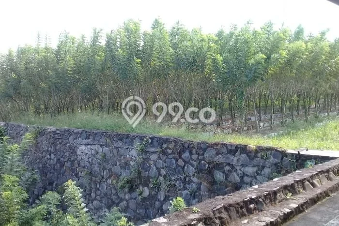 Lahan Dijual Lokasi Cikembar, Sukabumi dengan Luas Tanah 20570m2 dan Status SHM Lahan Dijual Lokasi Cikembar, Sukabumi dengan Luas Tanah 20570m2 dan Status SHM
