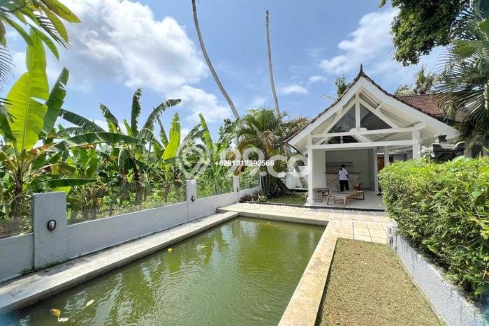 Sewa Rumah Murah di Pererenan Badung Punya 2 KT Sewa Rumah Murah di Pererenan Badung Punya 2 KT