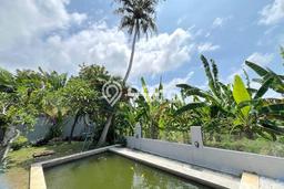 Sewa Rumah Murah di Pererenan Badung Punya 2 KT Sewa Rumah Murah di Pererenan Badung Punya 2 KT