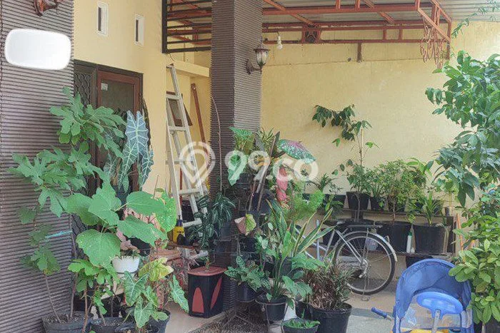 Jual Rumah Strategis Bagus Punya 4 KT di Tambaksari Surabaya SHM Jual Rumah Strategis Bagus Punya 4 KT di Tambaksari Surabaya SHM