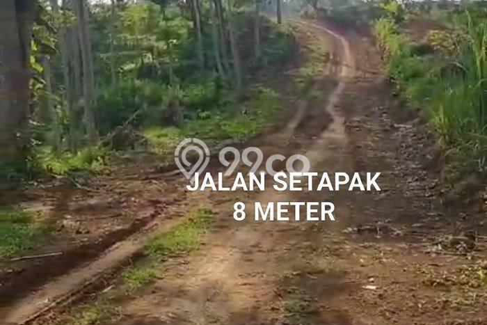 Dijual Tanah Kawasan Tutur, Luas 40000m2m², Lokasi Berkembang Dijual Tanah Kawasan Tutur, Luas 40000m2m², Lokasi Berkembang