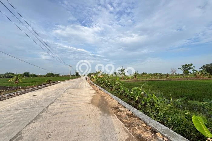 Jarang Ada! Tanah di Cerme Punya Luas 2350m2 SHM Jarang Ada! Tanah di Cerme Punya Luas 2350m2 SHM