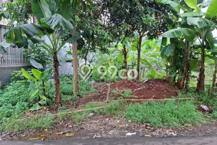 Lahan Investasi Lokasi Pondok Aren Tangerang Selatan SHM Lahan Investasi Lokasi Pondok Aren Tangerang Selatan SHM
