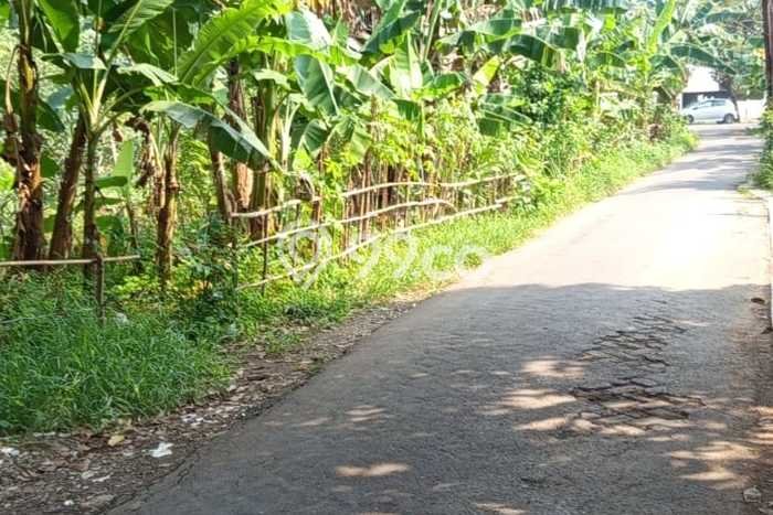 Lahan Investasi Lokasi Pondok Aren Tangerang Selatan SHM Lahan Investasi Lokasi Pondok Aren Tangerang Selatan SHM