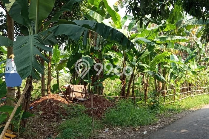 Lahan Investasi Lokasi Pondok Aren Tangerang Selatan SHM Lahan Investasi Lokasi Pondok Aren Tangerang Selatan SHM