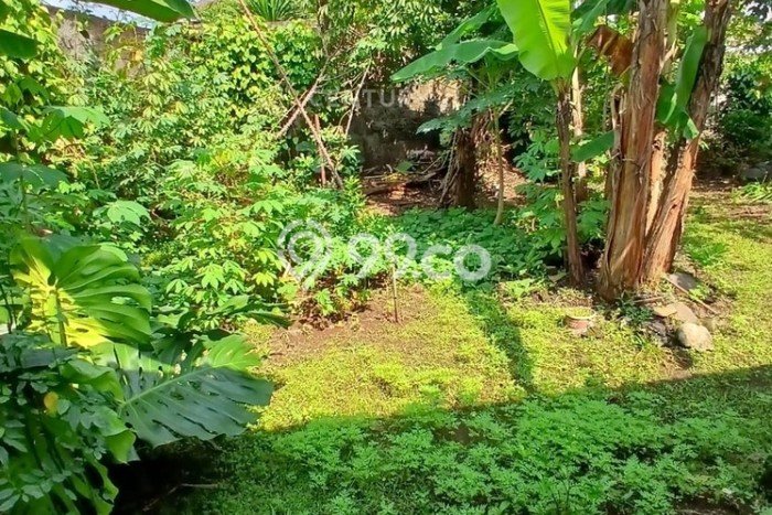 Tanah Dijual Lokasi Ciputat Tangerang Selatan SHM Tanah Dijual Lokasi Ciputat Tangerang Selatan SHM