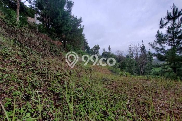 Lahan untuk Dijual di Lembang Bandung Barat Luas 1600m2 Lahan untuk Dijual di Lembang Bandung Barat Luas 1600m2