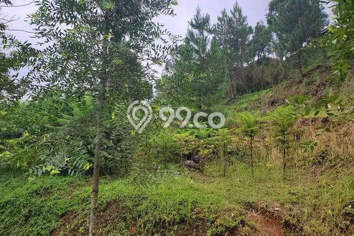 Lahan untuk Dijual di Lembang Bandung Barat Luas 1600m2 Lahan untuk Dijual di Lembang Bandung Barat Luas 1600m2