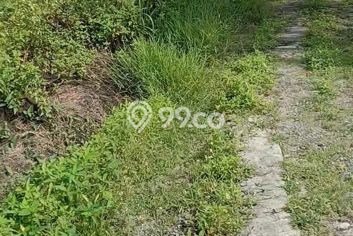 Disewakan Tanah di Semarang Timur Luas 30000m2 SHM Disewakan Tanah di Semarang Timur Luas 30000m2 SHM