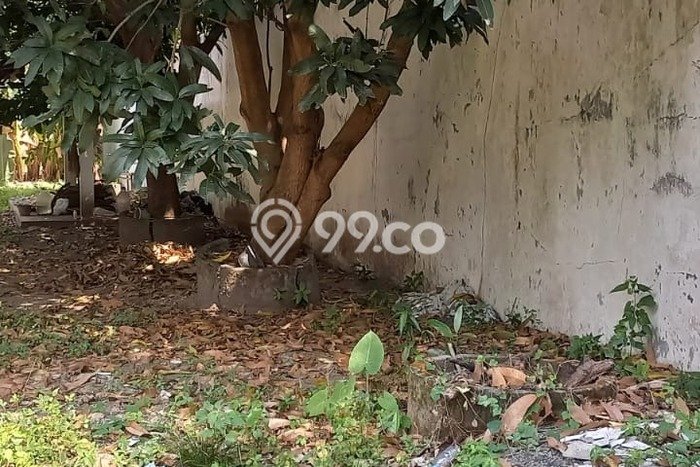 Tanah Dijual Lokasi Strategis di Yogyakarta dengan Luas 1598m2 Tanah Dijual Lokasi Strategis di Yogyakarta dengan Luas 1598m2