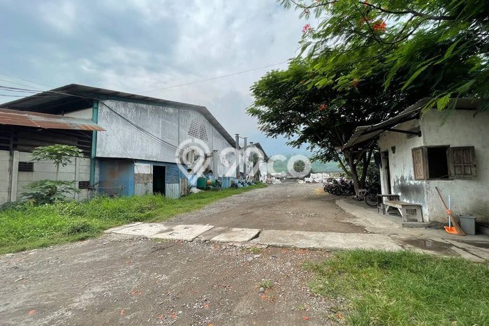 Gudang Bagus Dijual LB 8000m2 Lokasi Strategis Mojokerto Area Cocok untuk Bisnis Gudang Bagus Dijual LB 8000m2 Lokasi Strategis Mojokerto Area Cocok untuk Bisnis