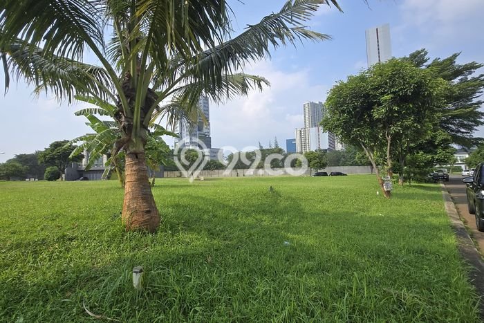 Tanah Kavling Dijual di Alam Sutera, Tangerang dengan Luas Tanah 257m2 Tanah Kavling Dijual di Alam Sutera, Tangerang dengan Luas Tanah 257m2