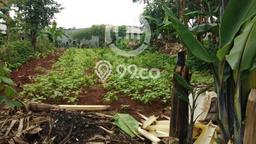 Tanah Kavling Dijual di Tapos, Bogor dengan Luas Tanah 310m2 Tanah Kavling Dijual di Tapos, Bogor dengan Luas Tanah 310m2
