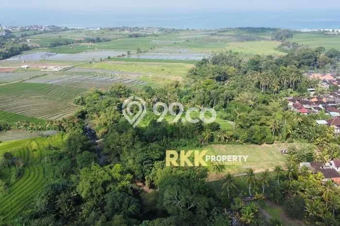 Dijual Tanah di Tabanan, Luas 3000m2 SHM Dijual Tanah di Tabanan, Luas 3000m2 SHM