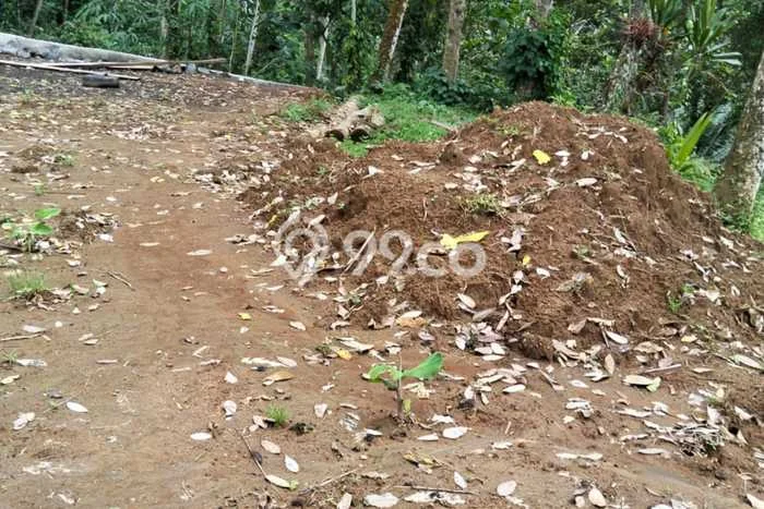 Tanah Dijual Lokasi Payangan Gianyar SHM Tanah Dijual Lokasi Payangan Gianyar SHM