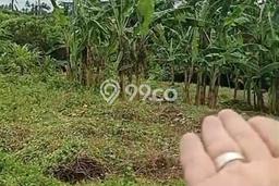 Tanah Investasi Dijual di Gianyar Punya Luas 1200m2 Tanah Investasi Dijual di Gianyar Punya Luas 1200m2