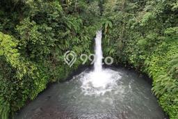 Tanah Dijual di Buleleng Seluas 9870m2 Strategis Tanah Dijual di Buleleng Seluas 9870m2 Strategis