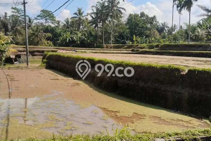 Dijual Tanah 12500m2 di Kenderan, Gianyar Dijual Tanah 12500m2 di Kenderan, Gianyar