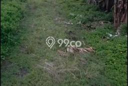 Tanah Dijual Lokasi Strategis di Gianyar dengan Luas 600m2 Tanah Dijual Lokasi Strategis di Gianyar dengan Luas 600m2