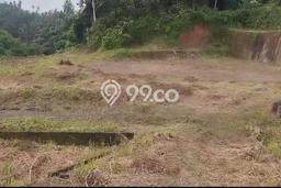 Tanah Dijual di Gianyar Seluas 4700m2 Strategis Tanah Dijual di Gianyar Seluas 4700m2 Strategis