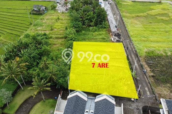 Tanah Kavling Dijual di Beraban, Tabanan dengan Luas Tanah 700m2 Tanah Kavling Dijual di Beraban, Tabanan dengan Luas Tanah 700m2