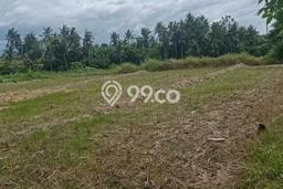 Dijual Tanah di Blahbatuh Gianyar Luas 2770m2 SHM Dijual Tanah di Blahbatuh Gianyar Luas 2770m2 SHM