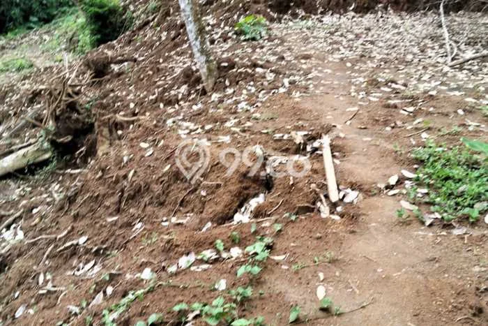 Tanah Dijual Lokasi Payangan Gianyar SHM Tanah Dijual Lokasi Payangan Gianyar SHM