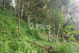 Tanah Kosong Dijual di Karangasem dengan Area 3400m2 Tanah Kosong Dijual di Karangasem dengan Area 3400m2