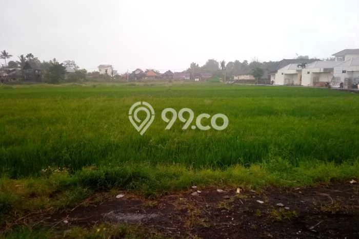 Lahan Dijual Lokasi Strategis di Tabanan dengan Luas 3900m2 Lahan Dijual Lokasi Strategis di Tabanan dengan Luas 3900m2